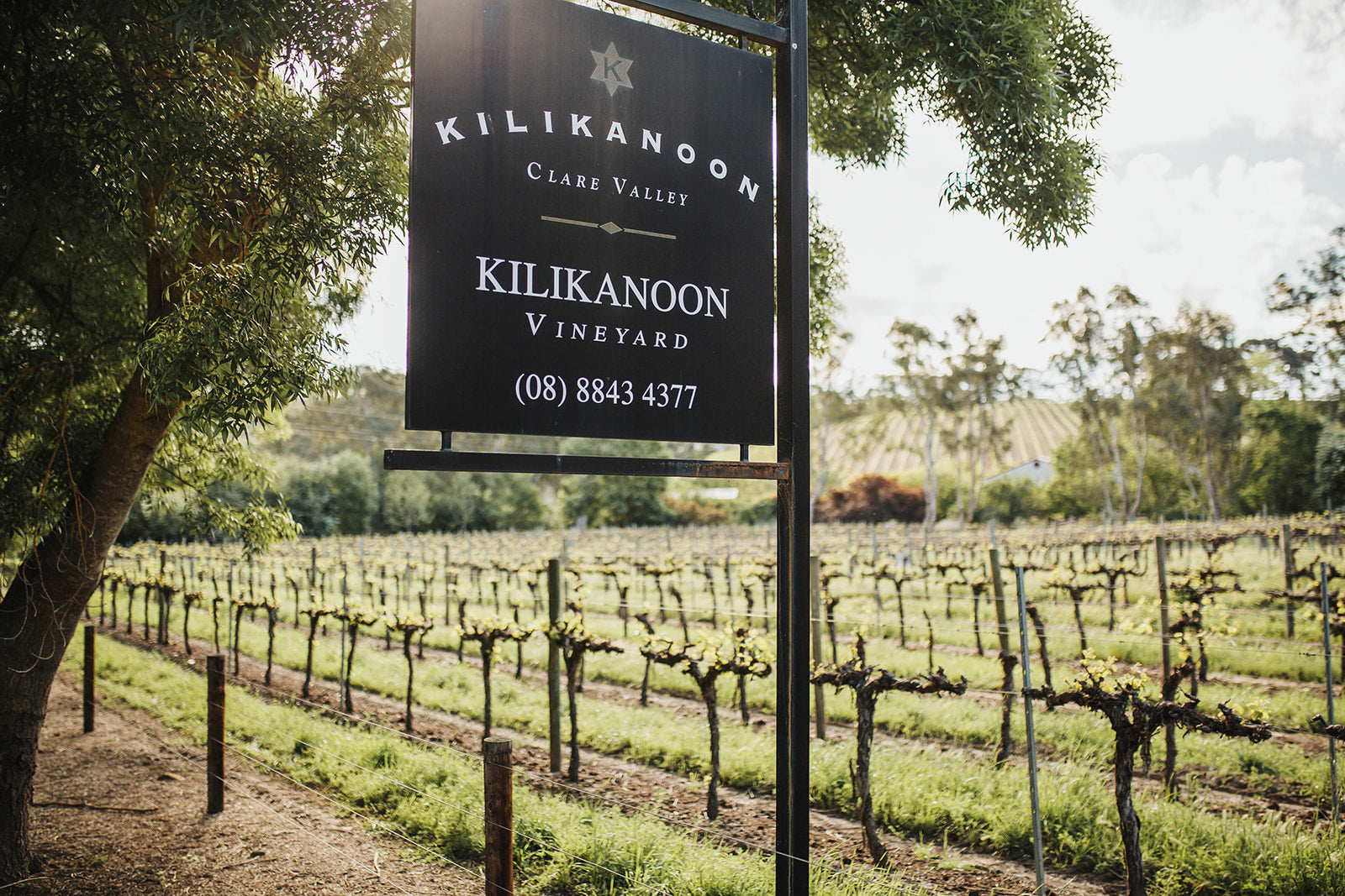Kilikanoon Wines