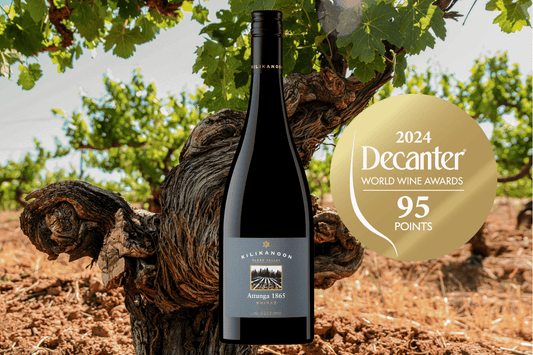 Attunga 1865 Shiraz 2019 named one of Decanter’s Highlights of 2024