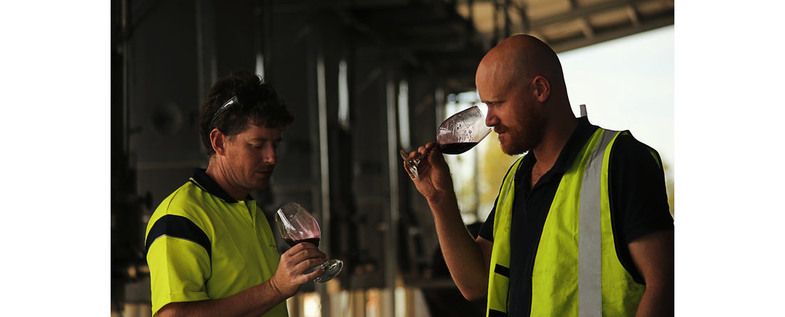 New Era for Grenache - Meet SA’s New Mild-mannered Red Wine Hero