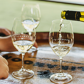 The Ultimate Guide to Wine Tasting in the Clare Valley (2026 edition)