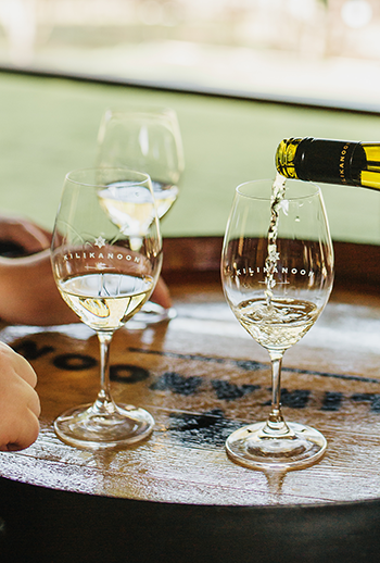 The Ultimate Guide to Wine Tasting in the Clare Valley (2026 edition)