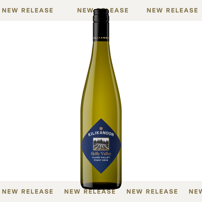 2025 Skilly Valley Pinot Gris Christmas 6Pk