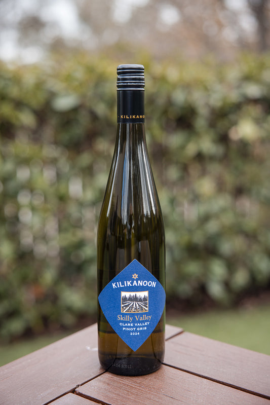 2024 Skilly Valley Pinot Gris - Mother's Day 6pk